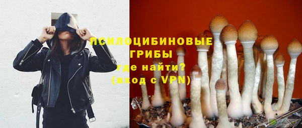 спиды Алексин