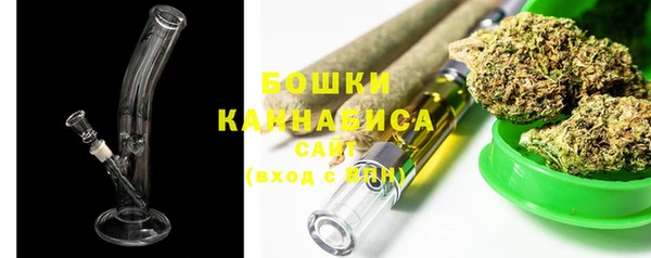 PSILOCYBIN Алзамай