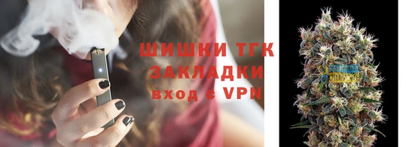 PSILOCYBIN Алзамай