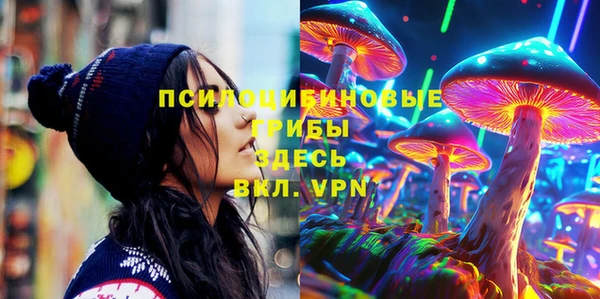 PSILOCYBIN Алзамай