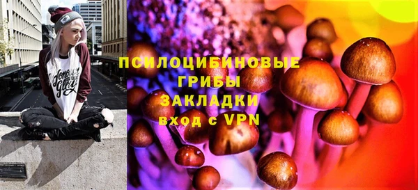 спиды Алексин