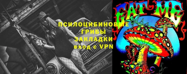 PSILOCYBIN Алзамай