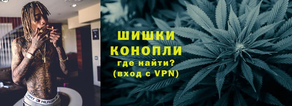 PSILOCYBIN Алзамай