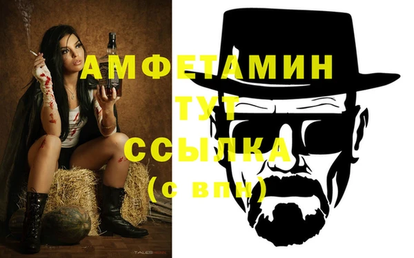 PSILOCYBIN Алзамай