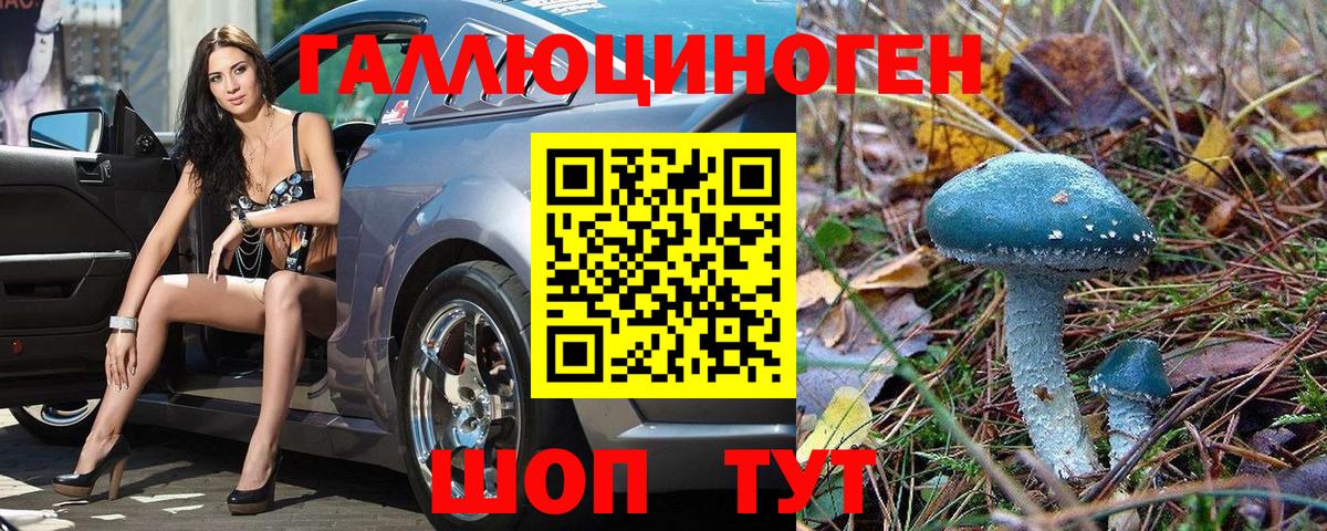Галлюциногенные грибы Magic Shrooms Прохладный
