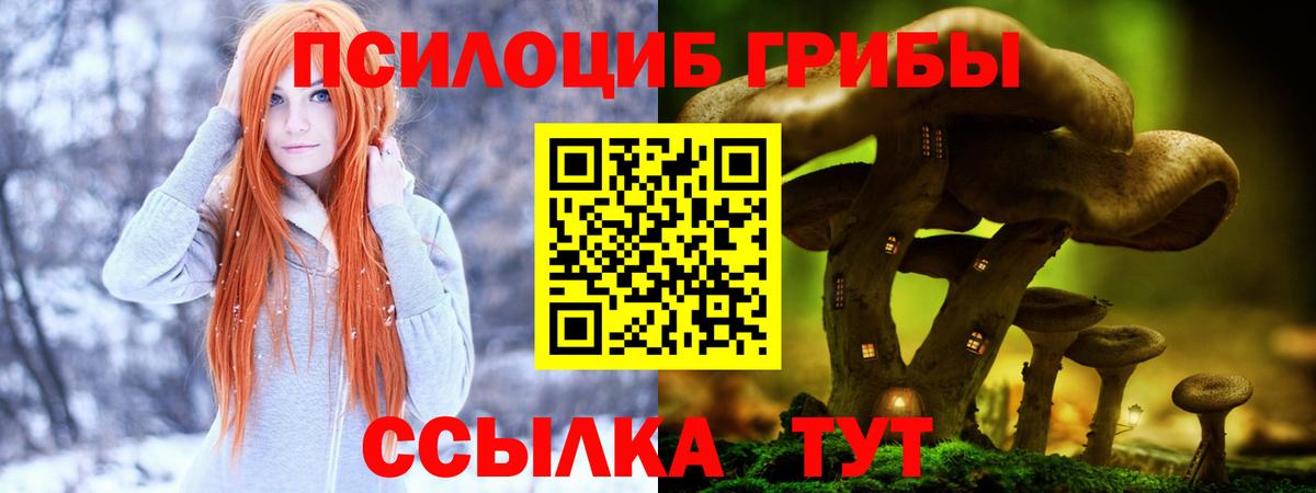 Псилоцибиновые грибы Psilocybine cubensis  Вход с VPN  Прохладный 